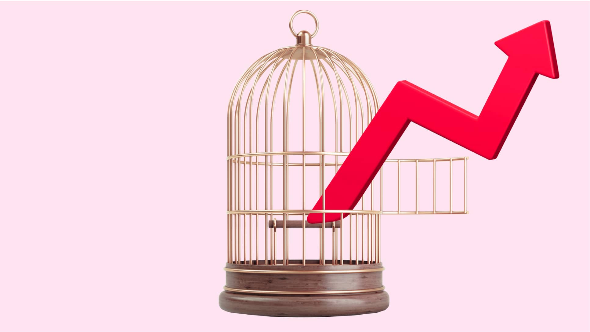 CAGE_PINK_LANDING (1)